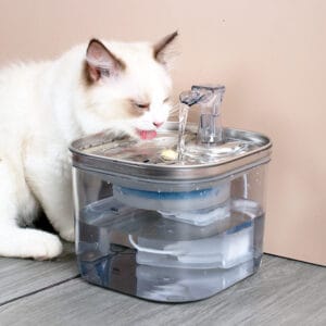 stainless-steel-pet-water-fountain-cat-dog stainless-steel-pet-water-fountain-induction-sensor stainless-steel-pet-water-fountain-2l-capacity