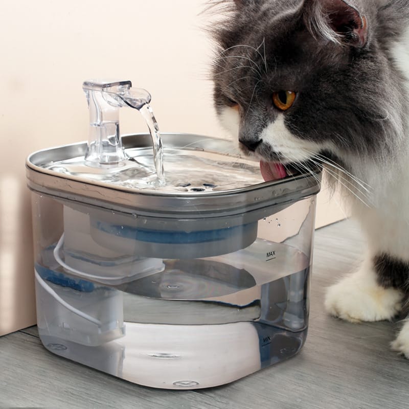 stainless steel pet water fountain
